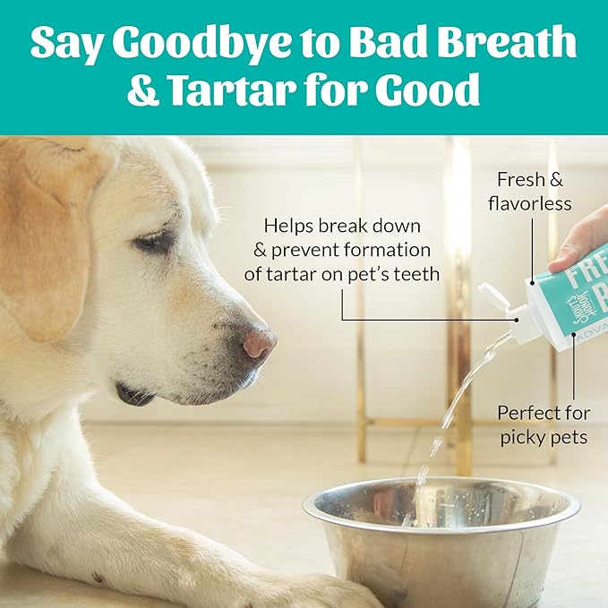 SKOUT'S HONOR Fresher Breath Water Additive, Fresh and Flavorless - VOHC Accepted for Tartar Control, Freshens Breath Fast, No Brushing Required, Great for Both Cats and Dogs, 32 oz, 2-Pack