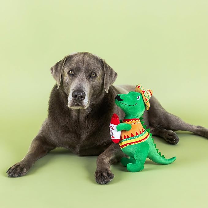 Fringe Studio "Fiesta Saurus Plush Dog Toy, Pet Shop Collection (314338)