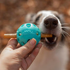 Messy Mutts Totally Pooched Huff'n Puff Ball | 2.5” TPR Puzzle Ball for Dogs | 2-in-1 Durable Interactive Toy and Tooth Cleaner | Teal
