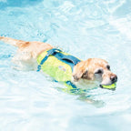 Outward Hound Standley Sport Dog Life Jacket, High-Performance Ripstop Dog Life Vest for Swimming, Boating, and Water Safety, Small, Green
