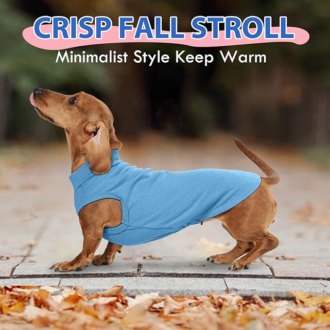 Fleece Sweater for Smalll Dogs - Blue, M - Pullover Vest | Stretchable Warm Sweatshirt, Lightweight Winter Jacket for Free Movement,Seasonal Dog Clothes,Shih Tzu, Papillon