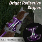 Cat Harness and Leash Set for Walking Escape Proof for Small Large cat Kitten Harness with ID tag Pocket (Purple,S)