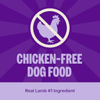 Wellness CORE Dry Dog Food, Grain Free, High Protein, Natural, Lamb Recipe, (4-Pound Bag)