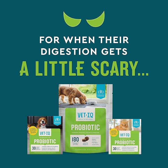 VetIQ Cat Probiotic Powder, Treats Diarrhea and Food Sensitivity, Chicken Flavored Single-Serve Packets for Indoor/Outdoor Use, 30 Count