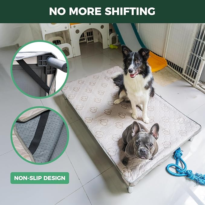 FXW TitanNest Chew-Proof Elevated Dog Bed, Raised Cot for Indoor/Outdoor/Camping Use, Durable & Washable Padded Pet Bed with Exclusive Cover for Medium Dogs, 42.0" L x 27.0" W x 5.0" H, Gray