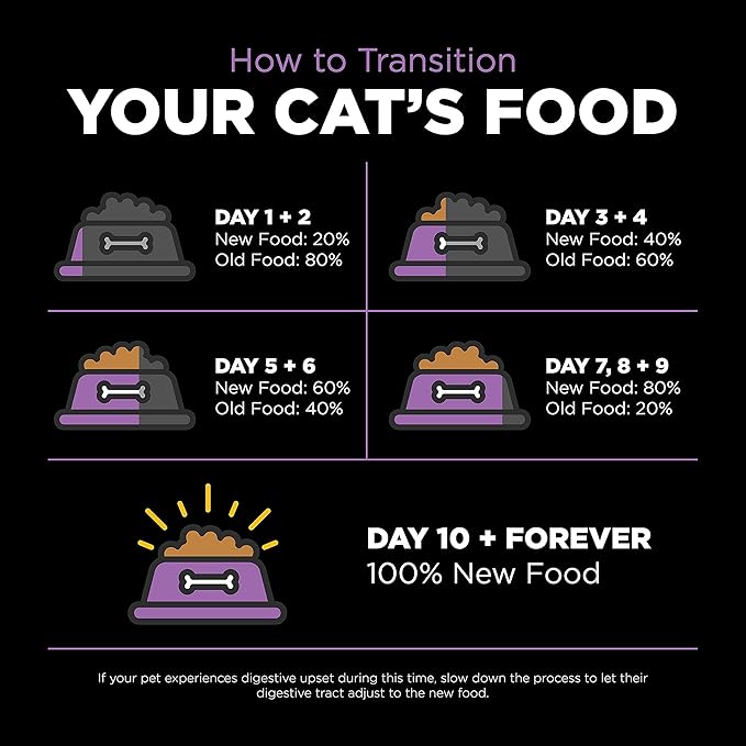 Go! Solutions Carnivore, Grain-Free, Protein Rich Dry Cat Food, Chicken, Turkey and Duck Recipe, 8 lb Bag