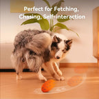 Cheerble Wicked Rugby (Orange Shell)