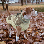 Lelepet Warm Dog Winter Coat Dog Coats for Large Dogs Waterproof Dogs Jacket with Harness Built in Reflective Cold Weather Coats Windproof Zip-Up Winter Fleece Vest Snowsuit Boxer Desert Camo XL