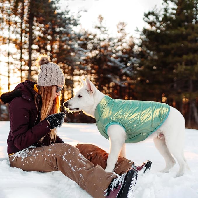 ASENKU Dog Winter Coat - Waterproof Windproof Dog Jacket, Warm Snowproof Doggie Puffer Vest for Cold Weather, Lightweight Snow Coats for Small Medium Large Dogs (Mint Green, 3XL)