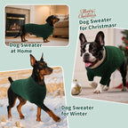 SAWMONG Dog Sweater, Dog Sweaters for Small Dogs Girls Boys, Pullover Turtleneck Knitted Doggy Sweatshirt, Cold Weather Pet Clothes（Green, Small