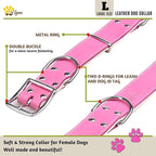ADITYNA Heavy-Duty Pink Leather Dog Collar for Large Dogs - Lined with Soft Leather - Girl Dog Collar for Walking, Training, and Hiking