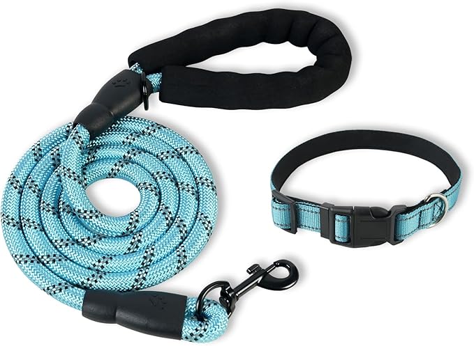 Nylon Dog Leash for Medium Large Dogs, 5-FTReflective Heavy Duty Leash with Comfortable Handle & Poop Bag Dispenser Ring, 1/2 Inch Wide, Secure Reinforcement for Walking (Blue, L)