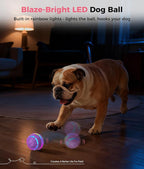 Petbobi Interactive Dog Toys – USB Rechargeable Automatic Rolling Ball with LED Light, Smart Bouncing Ball for Small Medium Pets to Exercise, Durable TPU Shell, Dog Toys to Keep Them Busy, Purple