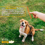 Gobble! 6-Inch Turkey Tendon Strips for Dogs, 6 oz. (170g) Reseal Value Bag, Made in USA, All-Natural Hypoallergenic Dog Chew Treat | Sourced, Processed & Packaged in The USA | (45-50 Pieces)