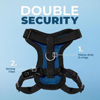 Voyager Step-in Lock Adjustable Cat Harness w. Cat Leash Combo Set with Neoprene Handle 5ft - Supports Small, Medium and Large Breed Cats by Best Pet Supplies - Royal Blue/Black Trim, XS