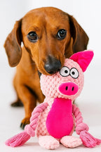 Cotton Rope Squeaky Dog Toy with Crinkle Paper – Interactive Plush Chew Toy for Small & Medium Puppies, Pig Design