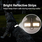 Cat Harness and Leash Escape Proof Extra Large Kitten Harness Maine Coon Cat Vest for Walking Travel, Dark Green, XL