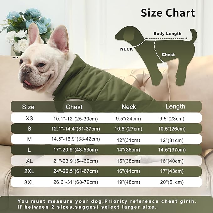 2 Layers Fleece Lined Warm Dog Jacket for Winter Cold Weather,Soft Windproof Medium Dog Coat,Green L