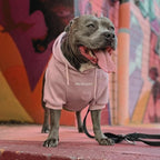 Spark Paws Dog Hoodie – Premium Dog Sweater for Small, Medium, and Large Dogs | Warm Outfits for French Bulldogs, Pitbull, Puppy, Winter Jacket Alternative - Dusty Pink - M