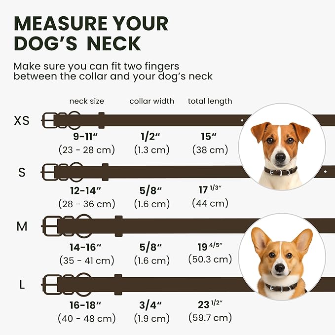 BRONZEDOG Rolled Leather Dog Collar for Small Medium Large Dogs with QR ID Tag (S: 12-14 Inch, Coffee Brown)