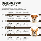 BRONZEDOG Rolled Leather Dog Collar for Small Medium Large Dogs with QR ID Tag (S: 12-14 Inch, Coffee Brown)