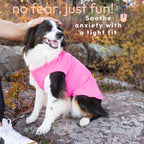 Goldpaw Stretchy Fleece Jacket for Small Dogs - Super Soft, Warm Dog Sweater - Pet Sweater Vest for Fall and Winter - Canine Clothes Made in The USA - Machine Washable - Hunter Green - Size 14