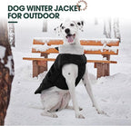 Kuoser Dog Jacket, Winter Dog Coats for Medium Dogs, Cold Weather Coats Pet Clothes, Doggie Snow Jacket for Frech Bulldog, Boston Terrier, Black M