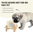 SPUNKYJUNKY 15° Slanted Ceramic Dog and Cat Bowl with Wooden Stand, Tilted Bulldog Food and Water Bowl No Slip Non-Spill for Cats Medium Dogs Big Face Pets 28.7 OZ (3.6 Cups, Beige × 2)