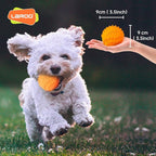 LaRoo Squeaky Dog Ball Toy, Durable Natural Rubber Squeaker Ball Floating Throwing Training, Teeth Cleaning Chew Toy for Pet Small Medium Large Dogs (6.5CM Orange)