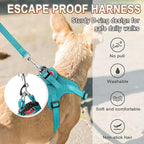 Dog Harness Step in Dog Vest Harness, Reflective Adjustable Puppy No Pull Harness Breathable Soft for Small and Medium Dogs Cats, Ocean Blue, XXS