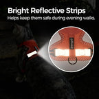 Cat Harness and Leash Escape Proof Extra Large Kitten Harness Maine Coon Cat Vest for Walking Travel, Orange, XXL