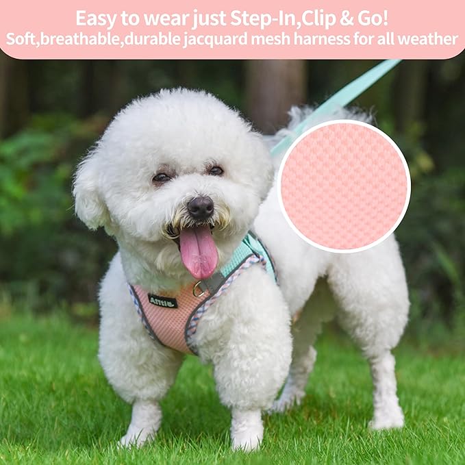 AIITLE Dog Harness and Leash Set - Ultra-Comfortable XXS-XL Vest with Strong Magic Tape & Glow-in-Dark Reflective Strips, Chafe-Free for Teddy, Schnauzer (Turquoise-Pink, M)