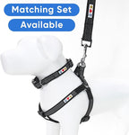 Pawtitas Pet / Puppy 6 - feet Reflective Dog Leash Extra Small / Small 5/8 inch Black Matching Collar and Harness sold separately.