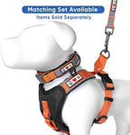 Pawtitas Personalized Dog Leash - Embroidered Customize Your Pet's Name & Phone Number - Reflective 6 ft Long Orange Leash