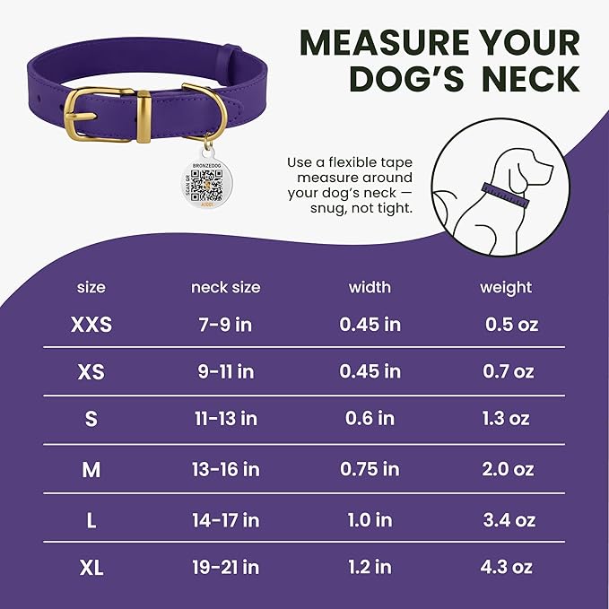 BRONZEDOG Leather Dog Collar with Metal Buckle Durable Basic Pet Collars for Small Medium Large Dogs (13-16 Inch (Pack of 1), Purple & Gold Buckle)