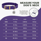 BRONZEDOG Leather Dog Collar with Metal Buckle Durable Basic Pet Collars for Small Medium Large Dogs (11-13 Inch (Pack of 1), Purple & Gold Buckle)