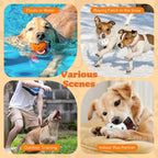 Nobleza Dog Ball Toy Tennis Bouncying Training Balls， Aggressive Chewer Teething Durable Floating Dog Tennis Balls， Interactive Pet Popcorn Ball for Medium Small Pet Puppy， 8 PCS
