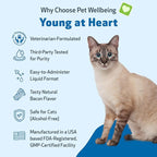 Pet Wellbeing Young at Heart for Cats - Vet-Formulated - Heart Health, Circulatory & Cardiovascular System, Hawthorn, Motherwort, Schisandra - Herbal Supplement 2 oz (59 ml)