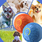 Shaky Ball Toy for Dogs, Automatic Interactive Dog Ball, USB Rechargeable Vibrating Dog Balls Suitable for All Dogs (Blue+Orange)-2PCS