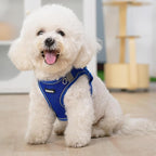 AIITLE Comfortable Dog Harness and Leash Set for Walking - Summer Step in Vest Harness,Reflective Bands, Adjustable No Pull Puppy Essentials, for Small Dogs and House Cats Royal Blue XS