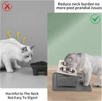 Upgraded Elevated Cat Bowls with Food Mat,15°Tilted Stand Anti Vomiting Raised Cat Dishes for Food and Water,2 Stainless Steel Bowls for Cats and Puppy（Gray）