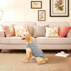 EXPAWLORER Dog Hoodie Fleece Sweater Vest, Hooded Dog Sweatshirt Fall Winter Pet Clothes with Leash Hole, Sleeveless Warm Cozy Puppy Clothing for Cat Small Medium Large Dogs Girl Boy, Grey XXL