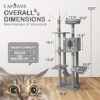 CAPHAUS 70-Inch Multi-Level Tall Cat Tree with Cute Top Perch, Scratching Posts, Cat Activity Tree w/Modern Hammock, Cat Cave Condo for Large Cats Kittens Tall Cat Climbing Play Tower