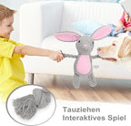 Dog Toys, Dog Squeaker Toys with Crinkle Paper, Stuffed Animal Dog Plush Chewing Toy, Cotton Rope Interactive Toys for Puppy, Small, Middle Dogs (Gray Rabbit)