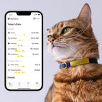 Health Tracker for Cats - Smart Cat Collar with Safety Breakaway Buckle for Indoor Cats, Wellness Alerts, Real-time Monitoring (Sakura, M)