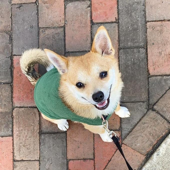Gooby - Stretch Fleece Vest, Pullover Fleece Vest Jacket Sweater for Dogs, Forest Green, Small Length (8.5")