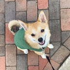 Gooby Stretch Fleece Vest Dog Sweater - Forest Green, Large - Warm Pullover Super Stretchy Fleece Dog Jacket for Small to Large Dogs