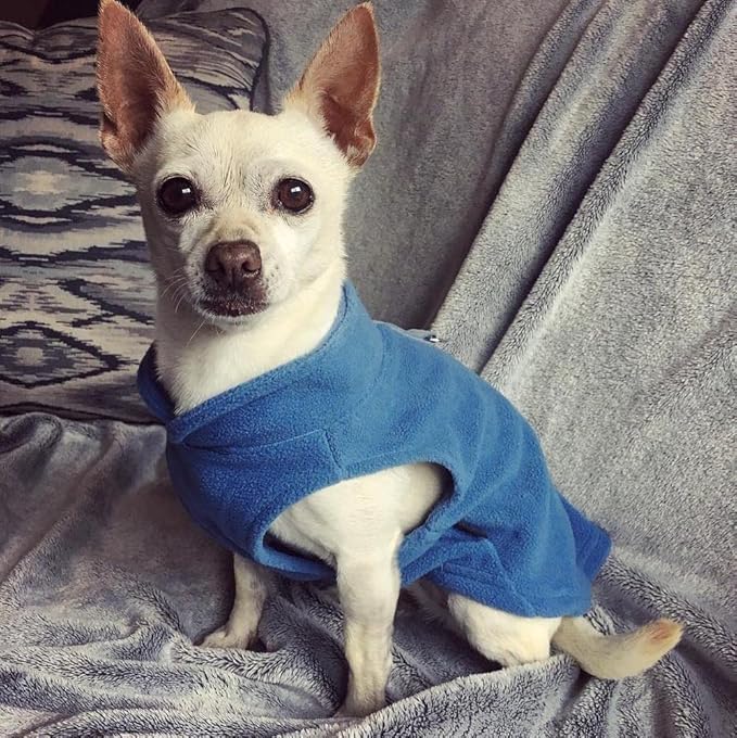 Gooby Fleece Vest Dog Sweater - Blue, X-Large - Warm Pullover Fleece Dog Jacket with O-Ring Leash for Small to Medium Dogs