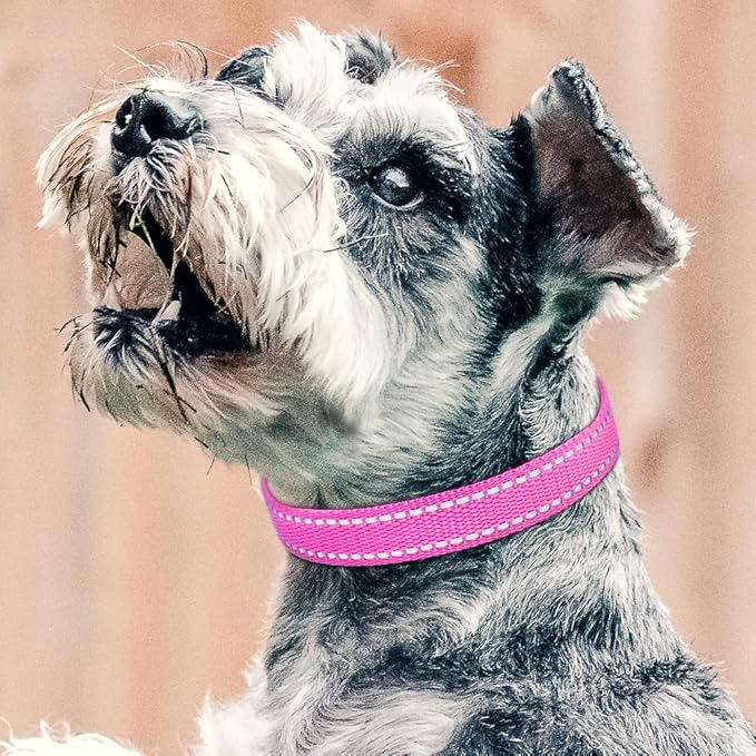 PetJoy Shock Collar Replacement Collar Strap, Reflective Dog Collars Strong, Durable & Adjustable Dog Collar- 2 Piece Set Collar for Dogs