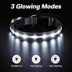 PcEoTllar Light Up Dog Collars, Led Dog Collar, Rechargeable, Night Walking, Waterproof, Glow in The Dark Dog Collars Light for Large Small Medium Dogs, Black l